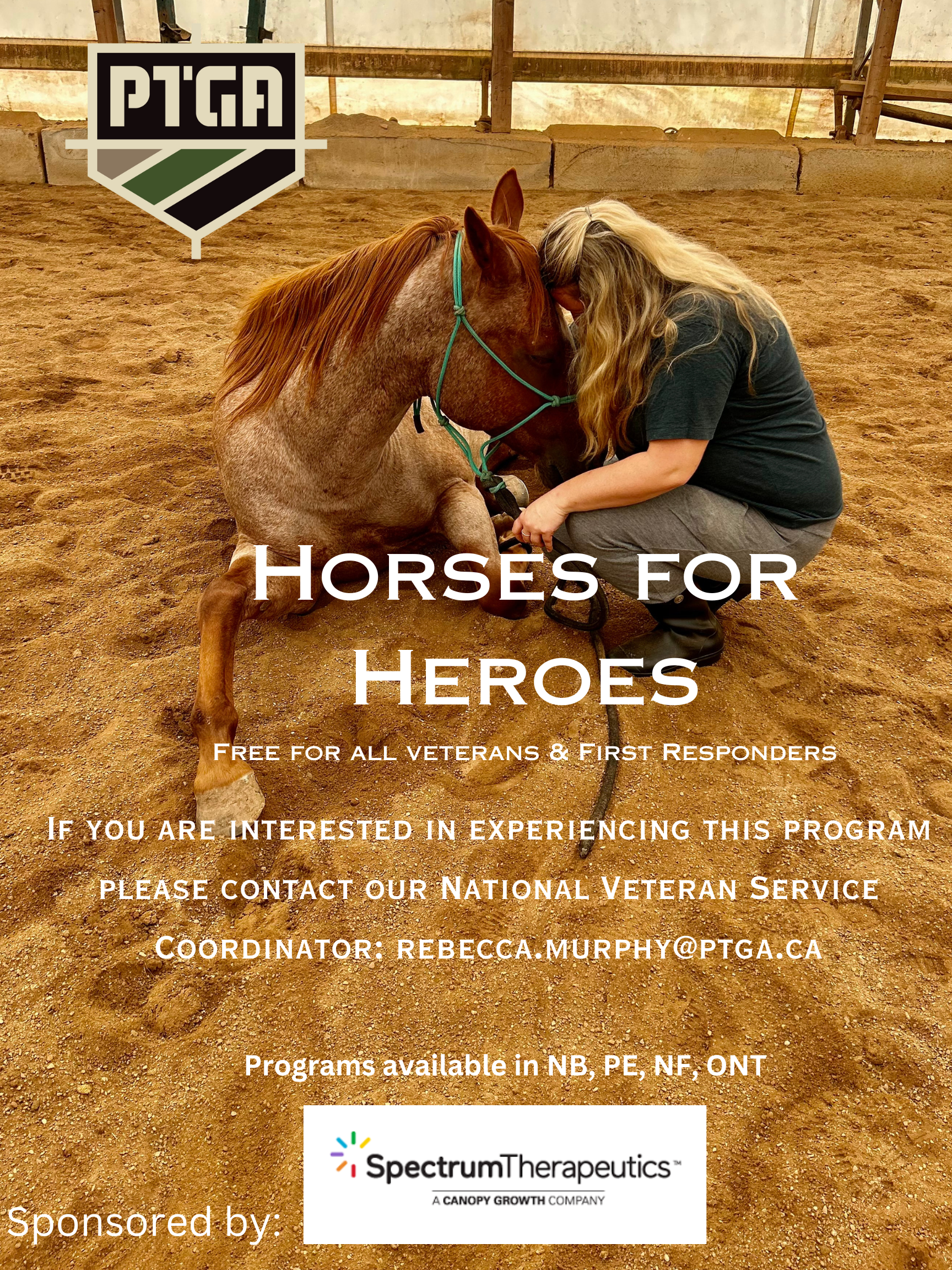 Horses for Heroes