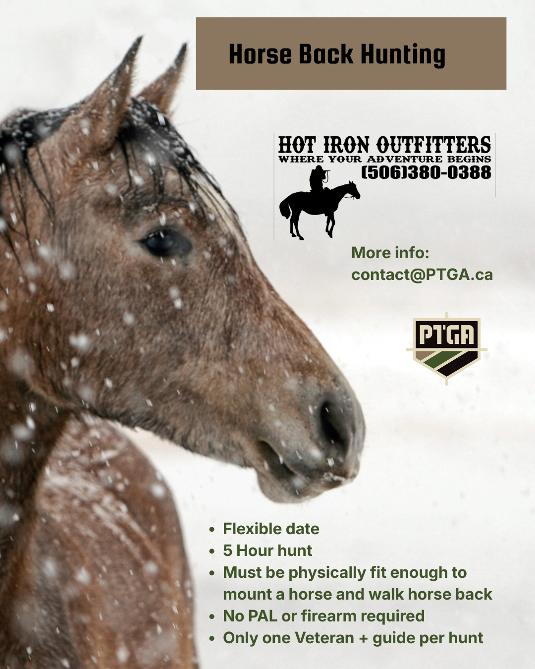 Horse Back Hunting in Canaan NB, various dates/times